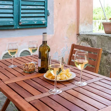 Apartamento Hostly-garden House San Lorenzo-few Steps To Tower Pisa